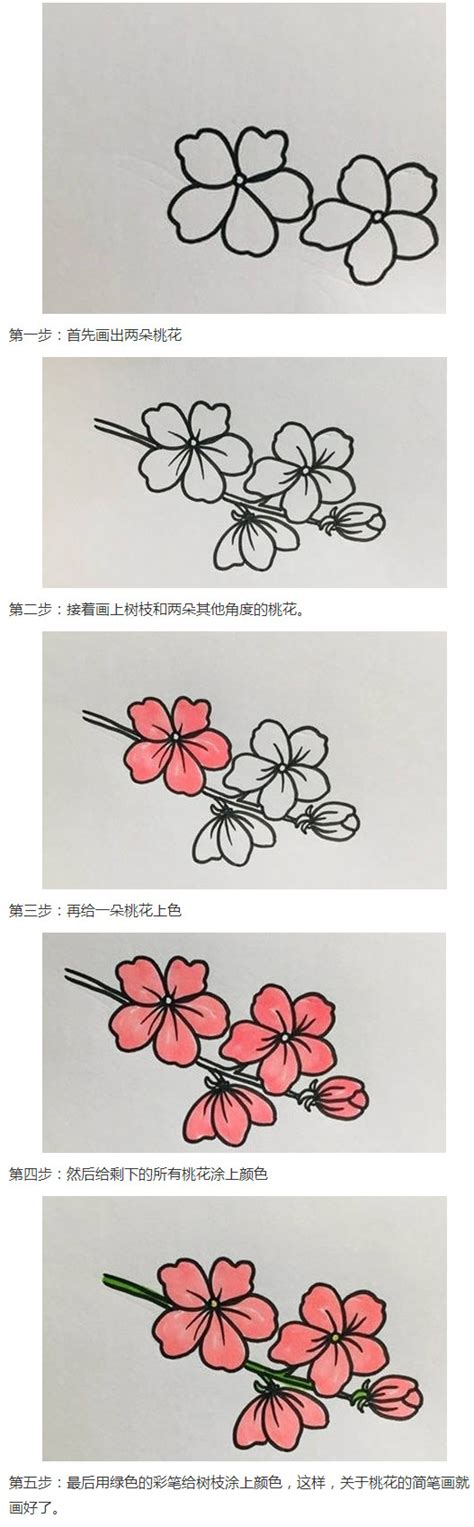 桃花畫法